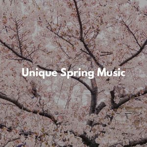 Vintage Jazz for Hotel Bar - Jazz Rilassante Collezioni