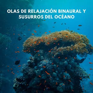 Olas De Relajación Binaural Y Susurros Del Océano - Grabaciones binaurales ritmos
