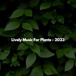 Lively Music For Plants - 2023 - Tuesday Morning Jazz Playlist