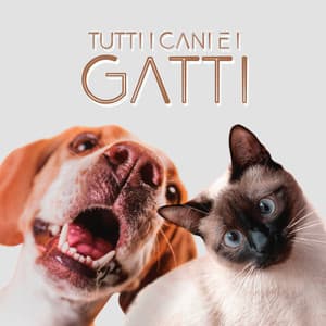 Tutti i cani e i gatti: Musica rilassante per animali domestici - Animali Domestici Unità