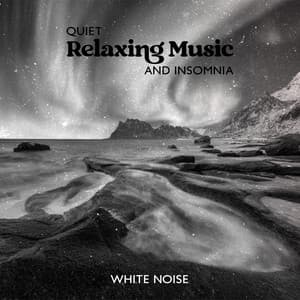 Quiet Relaxing Music and Insomnia - Good Night Unit