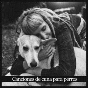 Canciones de cuna para perros – Música de fondo tranquila para piano, canciones relajantes para mascotas, ansiolítico, sueño profundo - RW Cachorro durmiendo