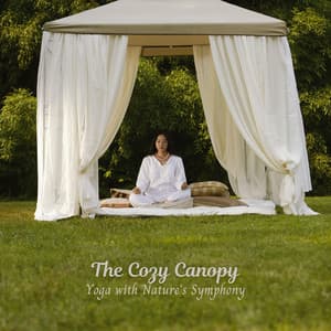 The Cozy Canopy: Yoga with Nature's Symphony - Mother Earth HD