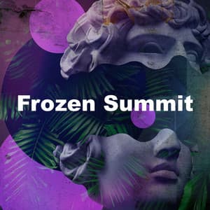 Frozen Summit - Himalaya Nature