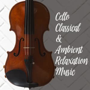 Cello Classical & Ambient Relaxation Music - Classy Interpretations Lovers