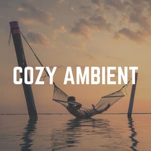 Cozy Ambient - Solitude Beats