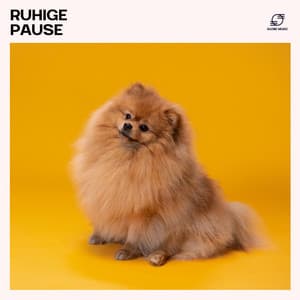 Ruhige Pause: Musik für Haustiere - Entspannung für Hunde