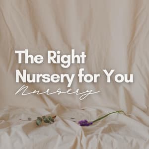 The Right Nursery for You - Nursery Rhymes