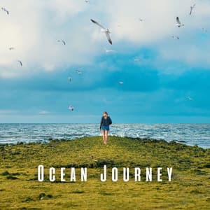 Ocean Journey: Ambient Sounds for Meditative Exploration - Non-stop Waves Channel