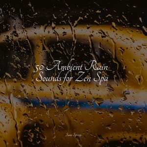 50 Peaceful Ambient Rain Tracks - Thunder Storm