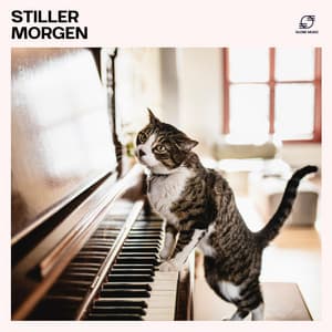 Stiller Morgen - Klaviermusik Entspannen