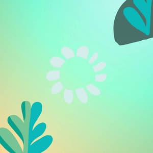 Music for Cool Shadows - Música Para Estudar