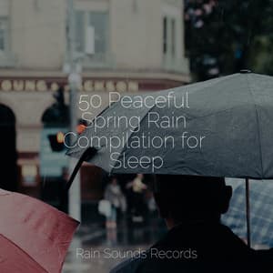 50 Peaceful Spring Rain Compilation for Sleep - Canción de Cuna