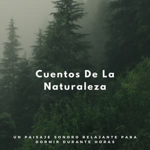 Cuentos De La Naturaleza: Un Paisaje Sonoro Relajante Para Dormir Durante Horas - Sonidos de la Naturaleza para Dormir