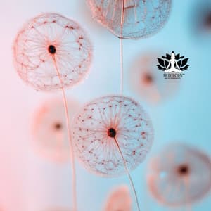 Camino Delicado Hacia la Paz - Meditación Música Ambiente