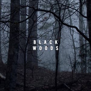 Black Woods - Heavy Rain Sounds