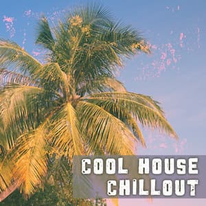 Cool House Chillout – Instrumental Ambient Party, Chillout Relaxation, Chill Party Music - Bossalounge