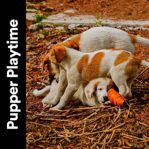 Pupper Playtime - Calm Dog Music