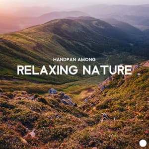 Handpan Among Relaxing Nature: Calming Music Therapy for Meditation, Sleep, Spa, Study - Sounds of Nature Kingdom