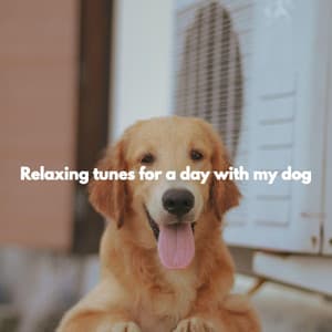 Relaxing tunes for a day with my dog - Jazz Connections for Reading