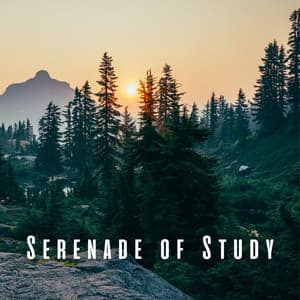 Serenade of Study: Calming Nature Sounds and Chill Music - Worldwide Nature Studios