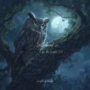 Lullabies for the Night Owl - Night Kalimba