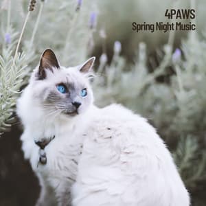 4Paws: Spring Night Music - Pet Soundtracks