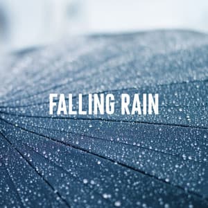 Falling Rain - Sleep Rain