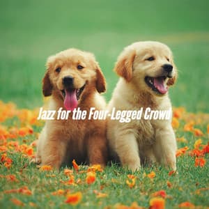 Jazz for the Four-Legged Crowd - Music for Dogs Radio