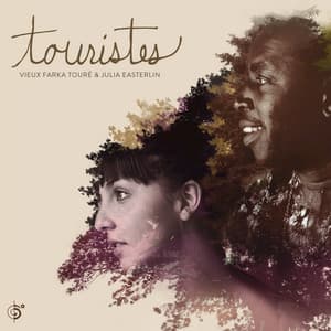 Touristes - Vieux Farka Touré