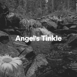 Angel's Tinkle - The Water Sleepers