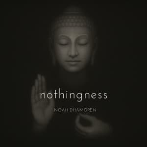 Nothingness - Noah Dhamoren