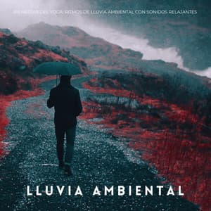 Bienestar Del Yoga: Ritmos De Lluvia Ambiental Con Sonidos Relajantes - Sonidos De Lluvia y Viento