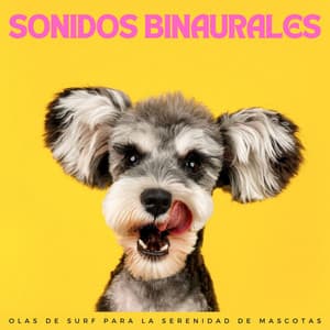 Sonidos Binaurales: Olas De Surf Para La Serenidad De Mascotas - Grabaciones binaurales ritmos