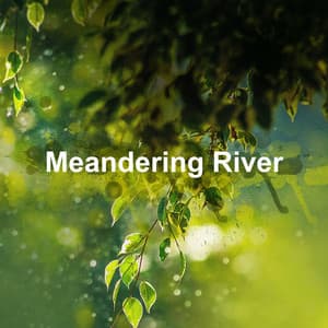 Meandering River - Amazon Jungle Sounds