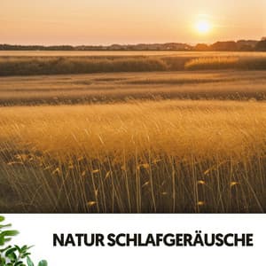 Natur Schlafgeräusche: Symphonie der Gelassenheit - Dog Relaxation