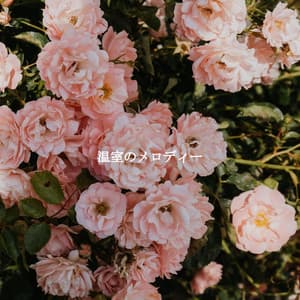 温室のメロディー - Work & Jazz