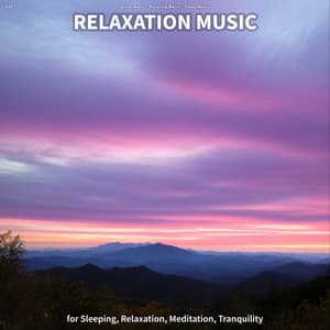 #01 Relaxation Music for Sleeping, Relaxation, Meditation, Tranquility - Quiet Music