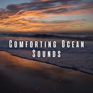 Comforting Ocean Sounds - Edgar Oceansounds