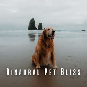 Binaural Pet Bliss: Tranquil Ocean and Theta Waves - The SubOceaners