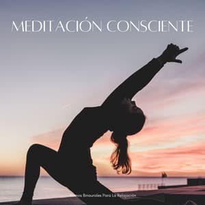 Meditación Consciente: Ritmos Binaurales Para La Relajación - Guía Binaural