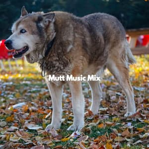 Mutt Music Mix - Musica para Perros