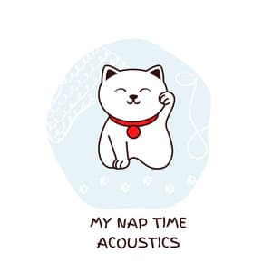 My Nap Time Acoustics - My Baby Beethoven