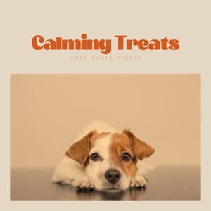 Calming Treats - Dog Bedtime