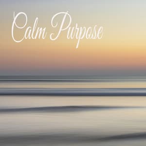 Calm Purpose - Sleeping Music