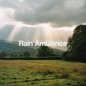 Rain Ambience - Thunderstorm Sound Bank