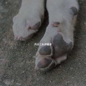 犬はこれが好き - Lounge Smooth Jazz Deluxe