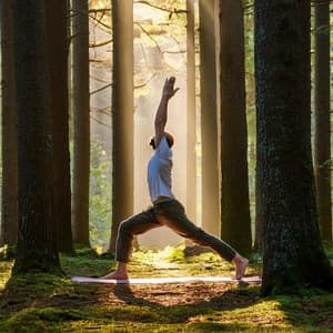 Mantras De Meditación: Cantos Para La Paz - La Espiritualidad Música Colección