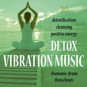Detox Vibration Music: Detoxification, Cleansing, Positive Energy - Torsten Abrolat
