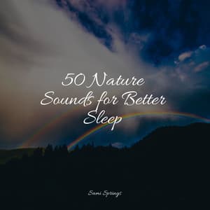 50 Nature Sounds for Better Sleep - Ambient Music Therpy